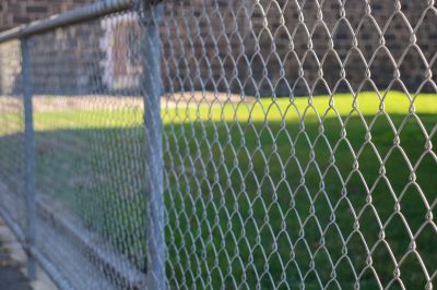 Chain Link Fence in Summer