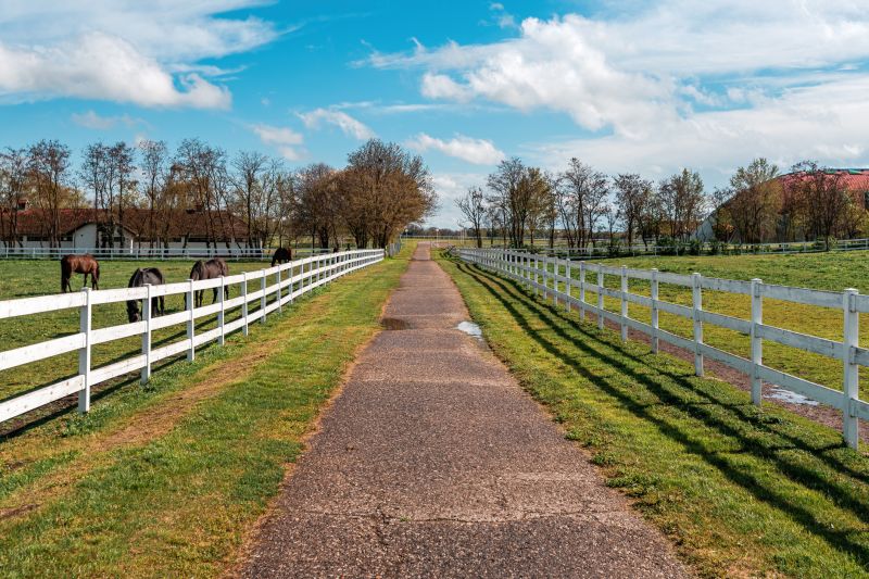 Horse Fence Replacement in South Houston, TX
