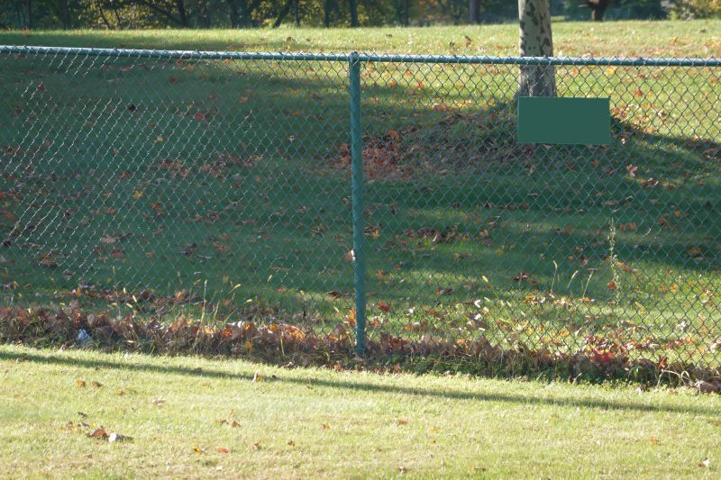 Consultation Services